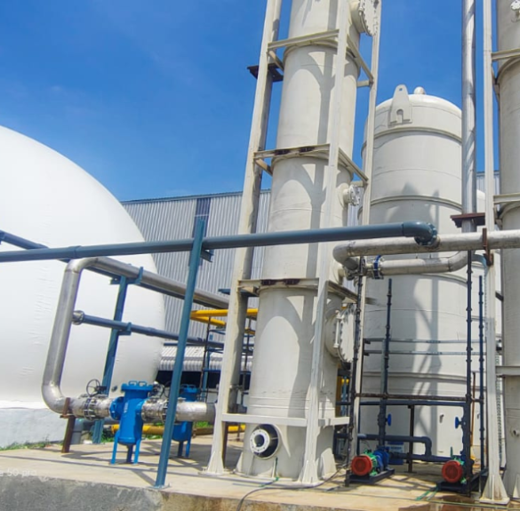 Untitled design (22)